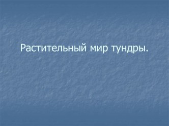 Растительный мир тундры