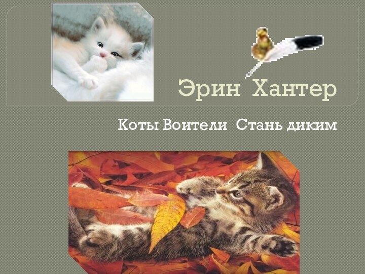 Эрин Хантер Коты Воители Стань диким