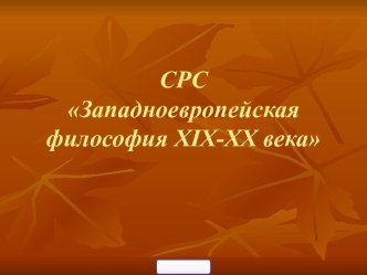 Западноевропейская философия XIX-XX вв.