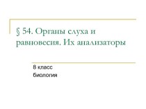 Органы слуха и равновесия. Их анализаторы