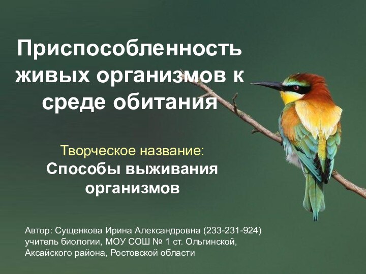 Приспособленность живых организмов к среде обитанияАвтор: Сущенкова Ирина Александровна (233-231-924) учитель биологии,