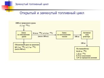 Открытый и замкнутый топливный цикл