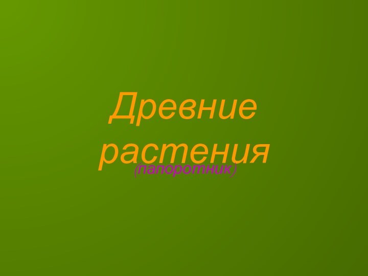 Древние растения(папоротник)