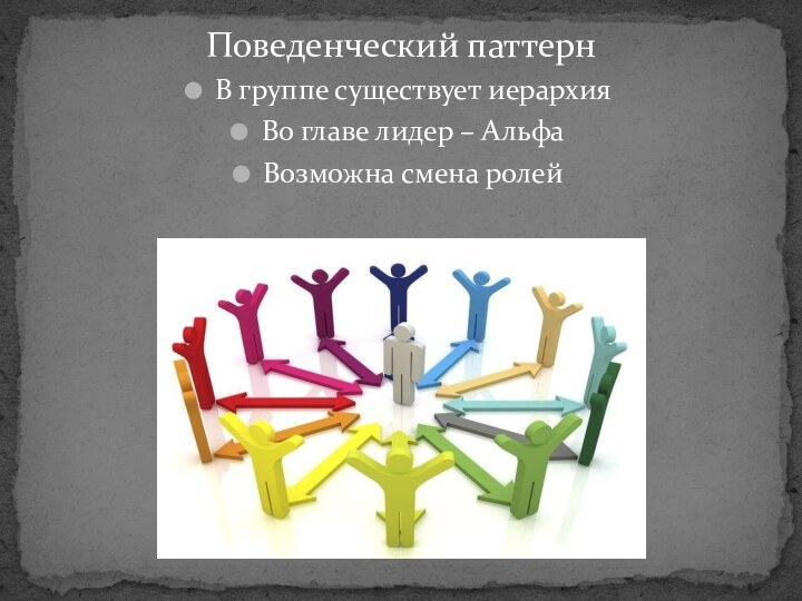 Поведенческий паттернВ группе существует иерархия Во главе лидер – АльфаВозможна смена ролей