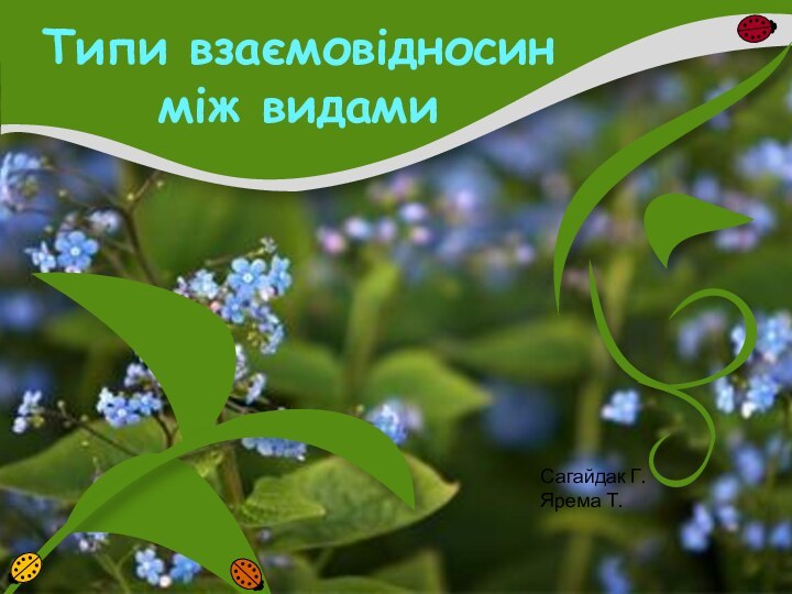 Типи взаємовідносин між видамиСагайдак Г.Ярема Т.