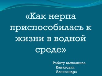 Как нерпа приспособилась к водной среде