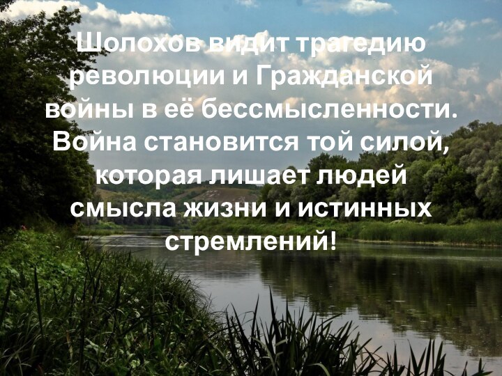 Шолохов видит трагедию революции и Гражданской войны в её бессмысленности. Война становится