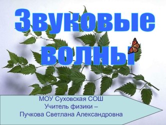 Звуковые волны (8-9 класс)