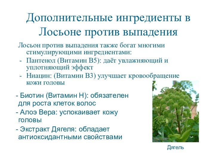 Дополнительные ингредиенты в Лосьоне против выпаденияЛосьон против выпадения также богат многими стимулирующими