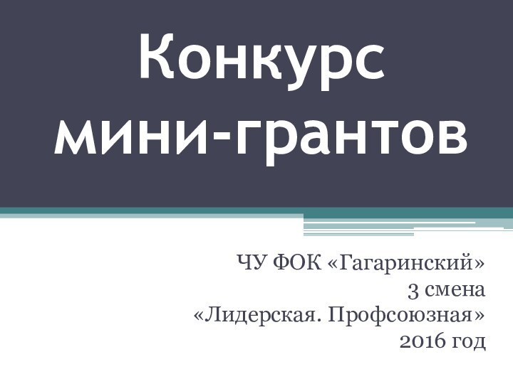 Конкурс  мини-грантовЧУ ФОК «Гагаринский»3 смена«Лидерская. Профсоюзная»2016 год
