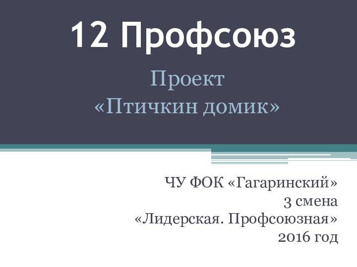 12 ПрофсоюзЧУ ФОК «Гагаринский»3 смена«Лидерская. Профсоюзная»2016 годПроект«Птичкин домик»