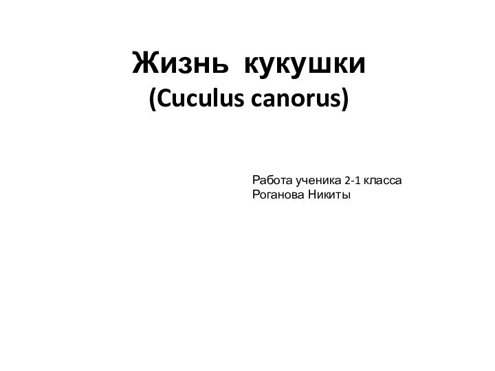 Жизнь кукушки (Cuculus canorus)Работа ученика 2-1 классаРоганова Никиты