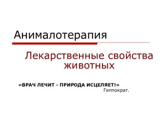 Анималотерапия