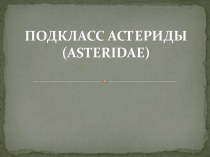 ПОДКЛАСС АСТЕРИДЫ (asteridae)