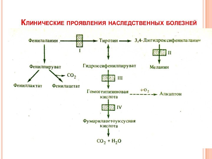 Клинические проявления наследственных болезней