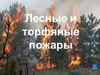 Лесные и торфяные пожары