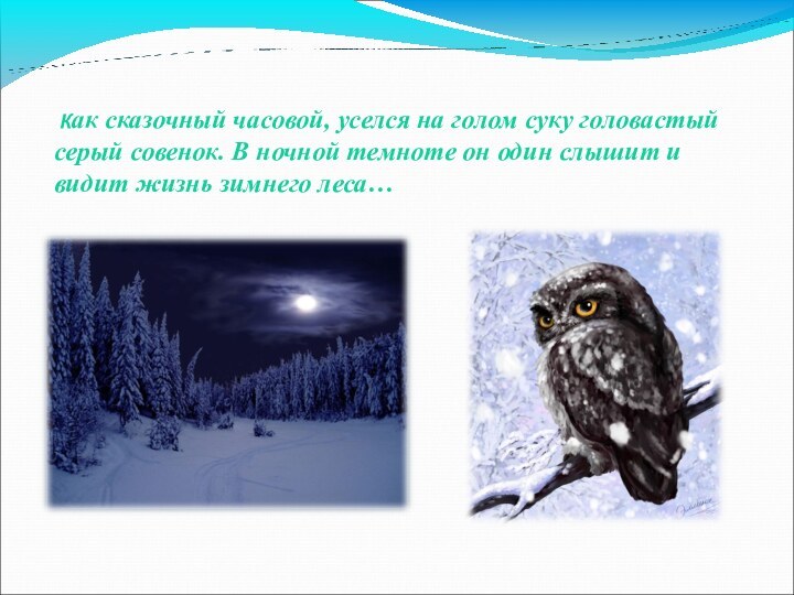  Как сказочный часовой, уселся на голом суку головастый серый совенок. В