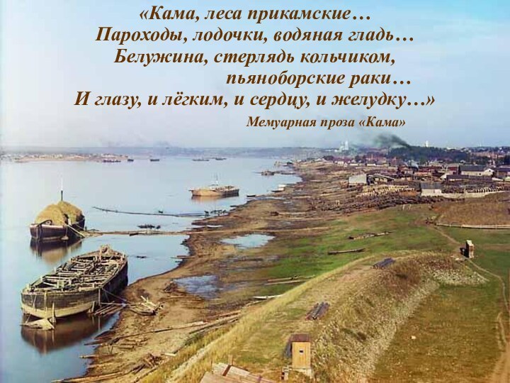 «Кама, леса прикамские… Пароходы, лодочки, водяная гладь… Белужина, стерлядь кольчиком, 					пьяноборские раки…