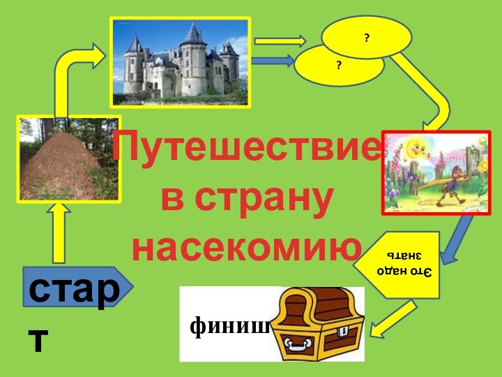 финишстарт??Это надо знатьПутешествие в страну насекомию