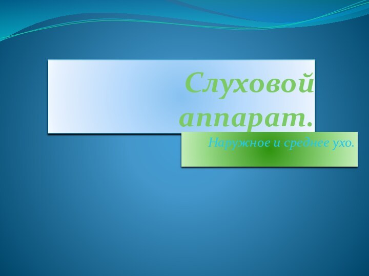 Слуховой аппарат.Наружное и среднее ухо.