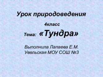 Тундра