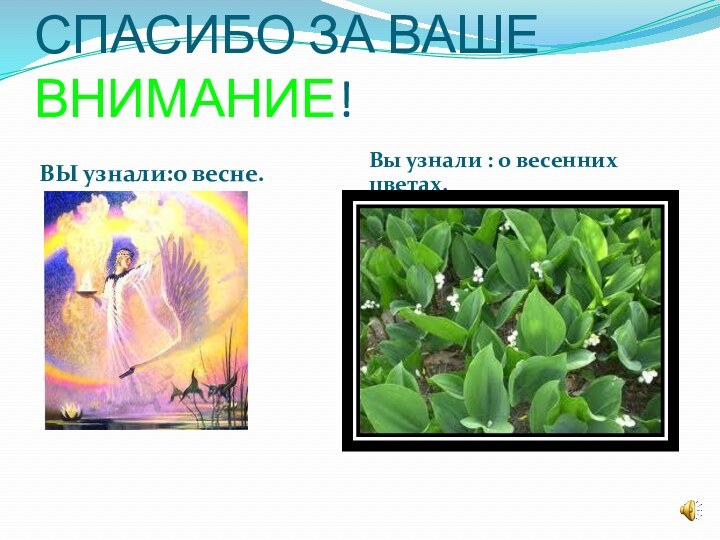 Спасибо за ваше внимание!ВЫ узнали:о весне.Вы узнали : о весенних цветах.