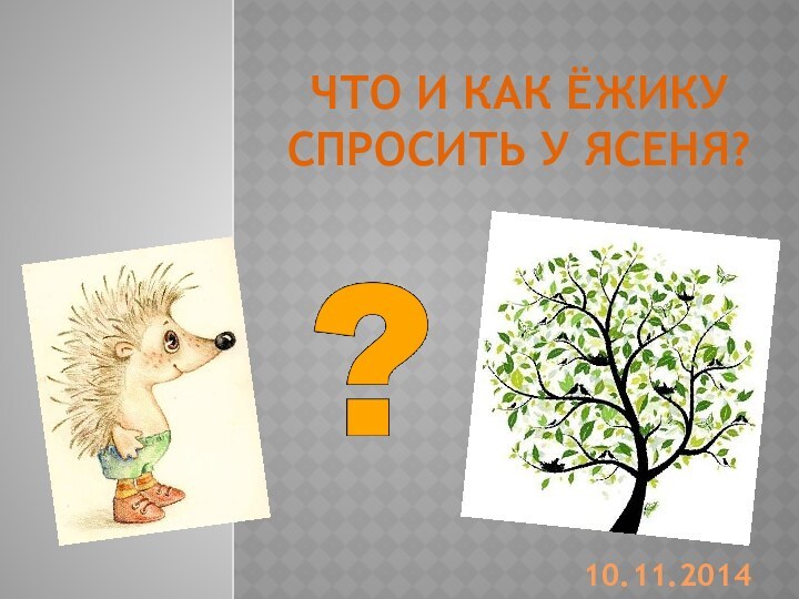 Что и как ёжику спросить у ясеня?10.11.2014