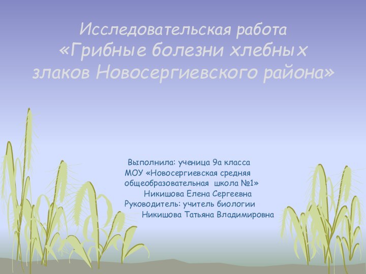Исследовательская работа  «Грибные болезни хлебных злаков Новосергиевского района»