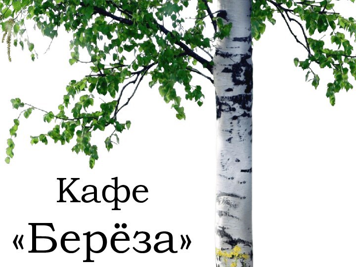 Кафе «Берёза»