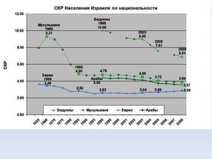 Население израиля на 2023 год численность населения