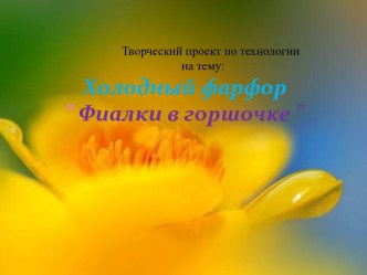 Холодный фарфор Фиалки в горшочке