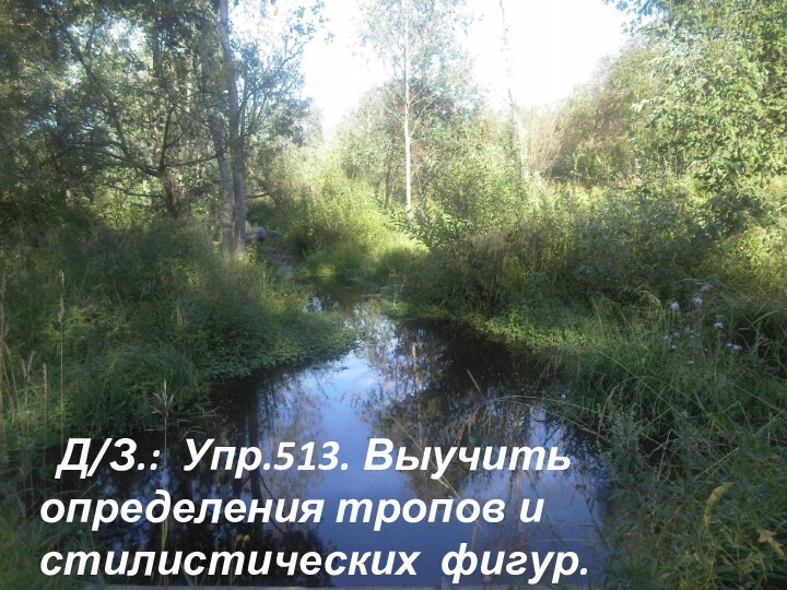 Д/З.: Упр.517; выучить виды тропов и стилистических фигур. Д/З.: Упр.513.