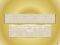 О растениях и организмах в почве