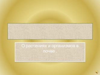 О растениях и организмах в почве