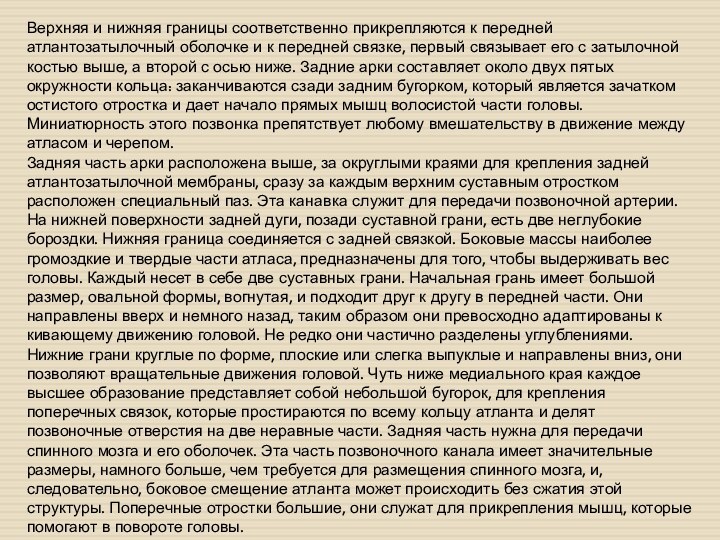 Верхняя и нижняя границы соответственно прикрепляются к передней атлантозатылочный оболочке и к