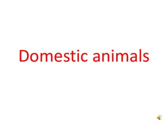 Domestic animals