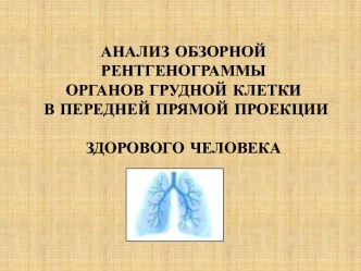 АНАЛИЗ ОБЗОРНОЙ РЕНТГЕНОГРАММЫ ОРГАНОВ ГРУДНОЙ КЛЕТКИ В ПЕРЕДНЕЙ ПРЯМОЙПРОЕКЦИИ ЗДОРОВОГО ЧЕЛОВЕКА 