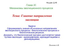 Главные направления эволюции