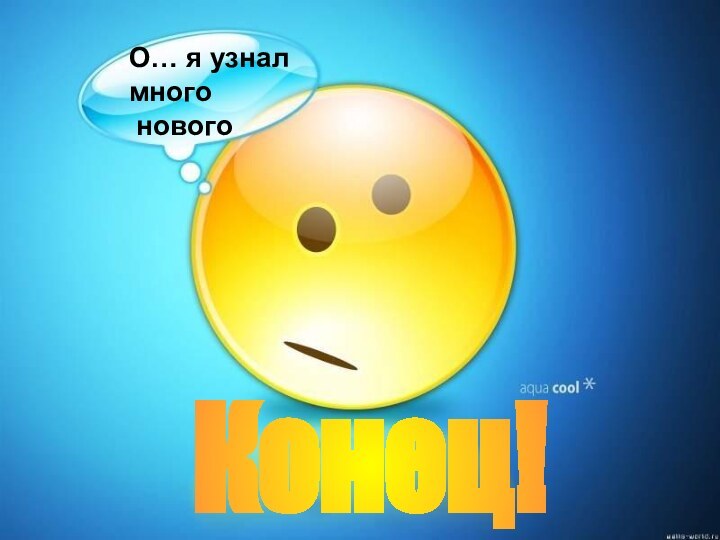 Конец!О… я узнал   много нового