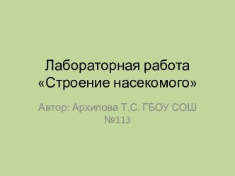 Строение насекомого