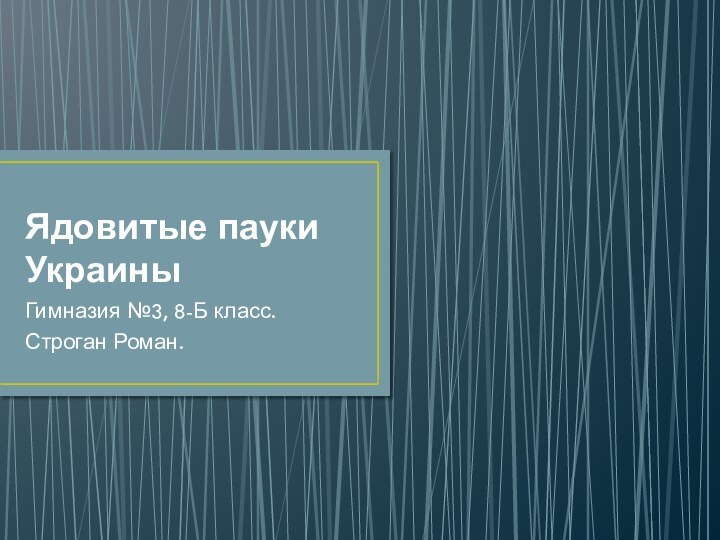 Ядовитые пауки УкраиныГимназия №3, 8-Б класс.Строган Роман.