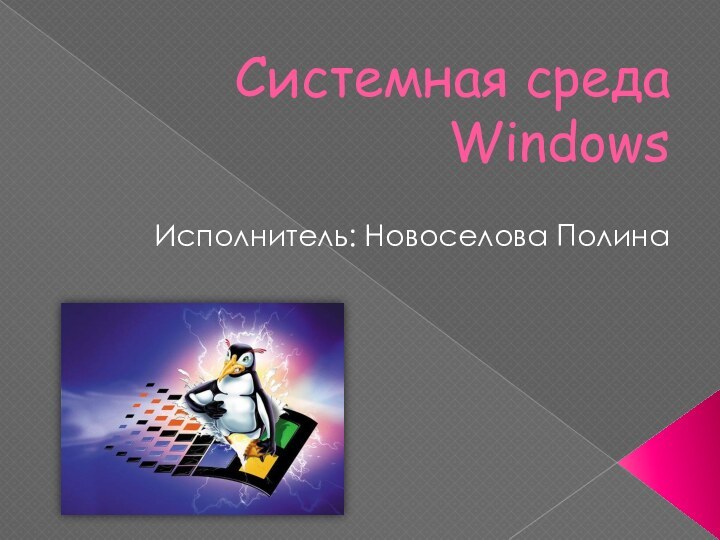 Системная среда WindowsИсполнитель: Новоселова Полина