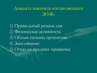 Биологические ритмы и их влияние на работоспособность человека