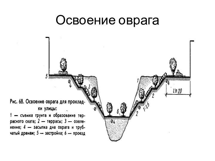 Освоение оврага