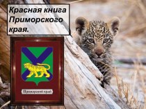 Красная книга Приморского края