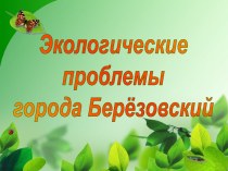 Экологические проблемы города Берёзовский