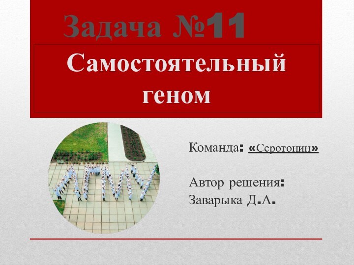 Задача №11Команда: «Серотонин»Автор решения: Заварыка Д.А.Самостоятельный геном