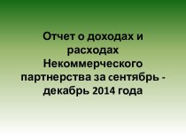 Отчет о доходах и расходах Некоммерческого партнерства