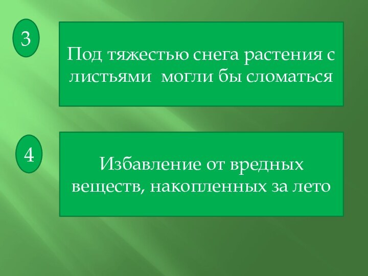 3Под тяжестью снега растения с листьями могли бы сломаться4Избавление от вредных веществ, накопленных за лето