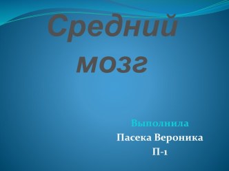 Средний мозг